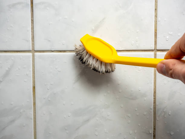 Certified Mold Removal in Prairie Village, KS