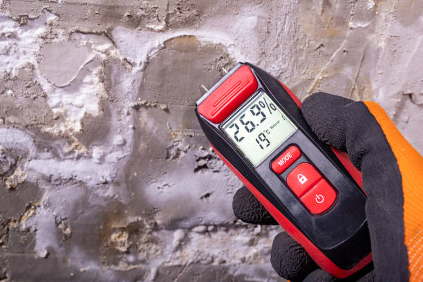 Best Mold Removal Near Me  in Prairie Village, KS
