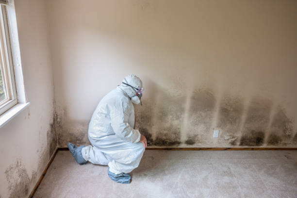 Best Crawl Space Mold Removal  in Prairie Village, KS